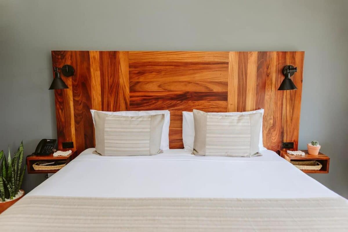 3 Incredible King Suite Rooms In Boutique Hotel Сан-Хосе-дель-Кабо Экстерьер фото